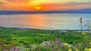 אנחנו בממ"דים, בחוץ הטבע הישראלי בשיאו