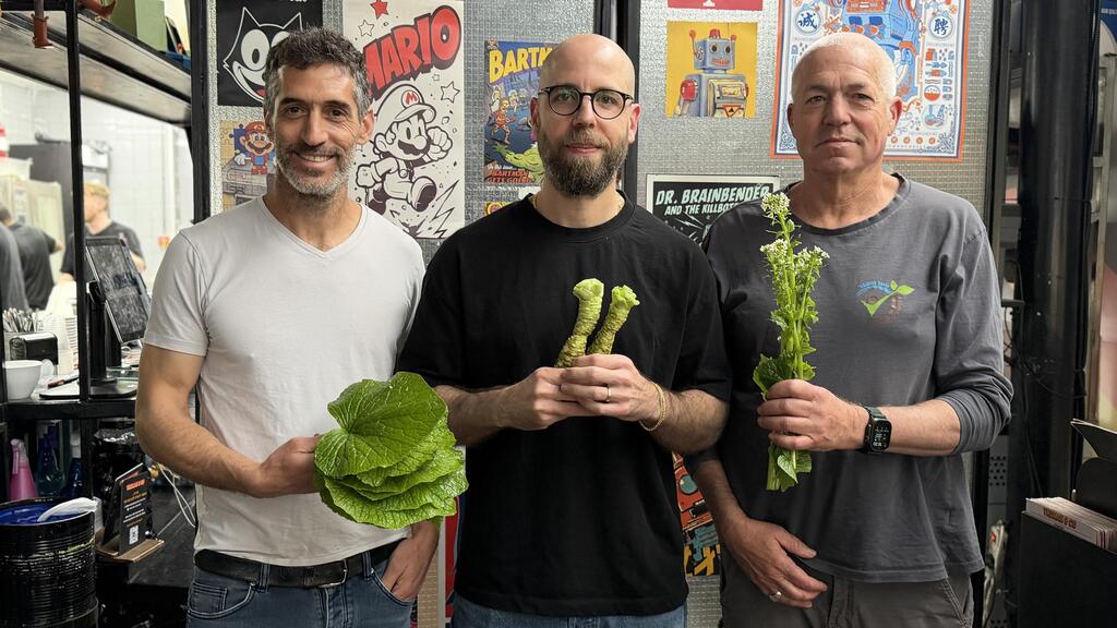 The Nishi wasabi farm 