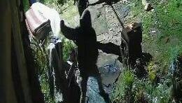 מתנחלים תקפו משפחה פלסטינית בכפר בירין