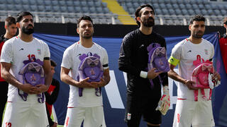 שחקני איראן, הסרטים והתיקים