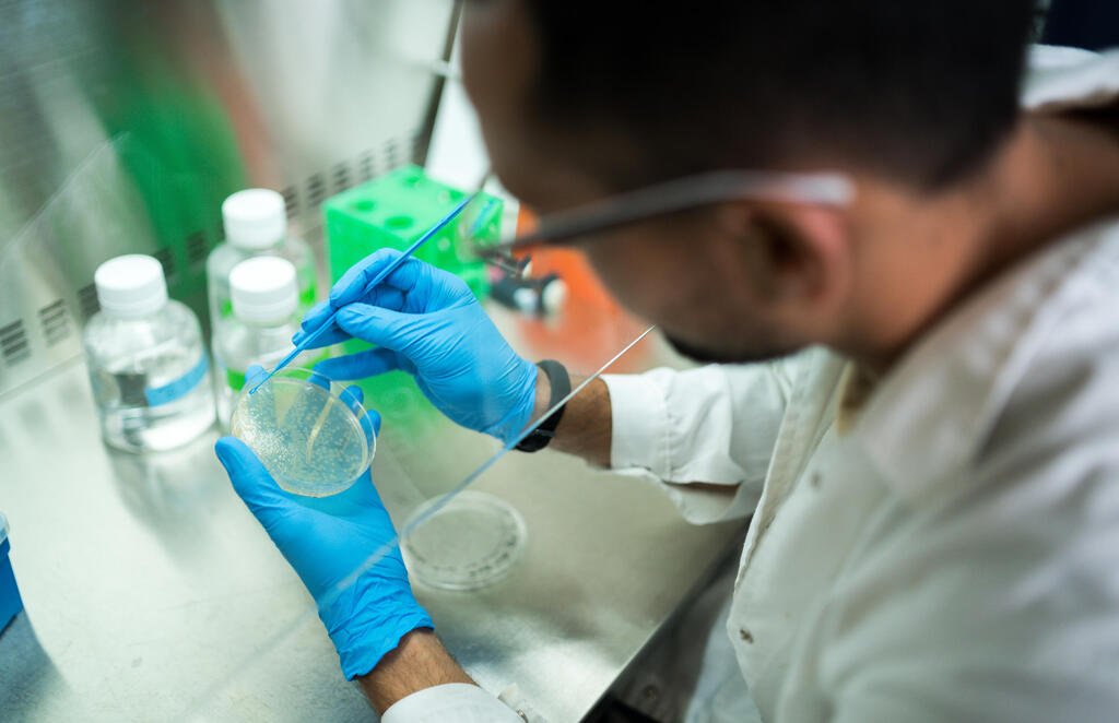 Medical research at Technion (Photo: Courtesy of Technion) הטכניון