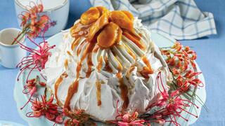 פבלובה בסגנון בנופי