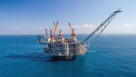 צילום: אלבטרוס