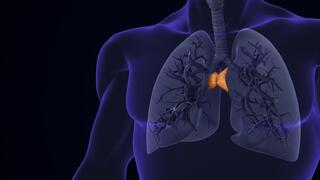 האיבר ה"מיותר" עשוי להשפיע על סרטן ותוחלת החיים