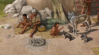 שחזור של ההתיישבות האנושית בטורקיה, שם התגלו שרידי כלב בני 15,800 שנים