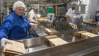 On the production line