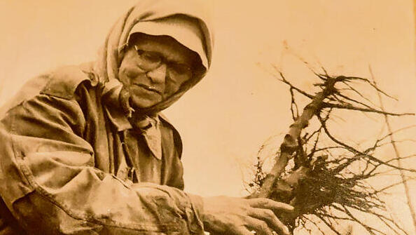 מלכה ארצי ז"ל