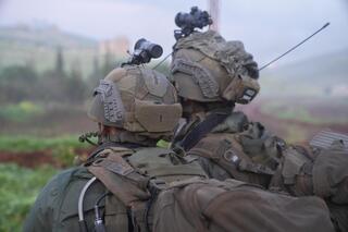 פעילות צה"ל במבצע 'שאגת הארי'