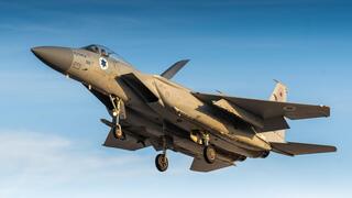 פעילות צה"ל במבצע 'שאגת הארי'