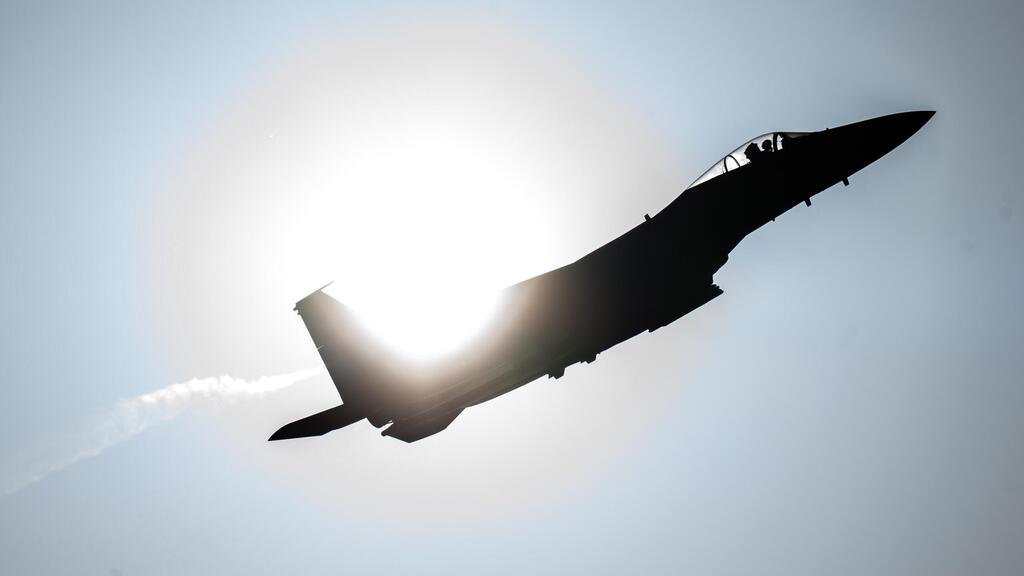 פעילות צה"ל במבצע 'שאגת הארי'