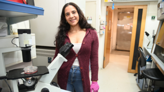 פרופסור דבי טויבר