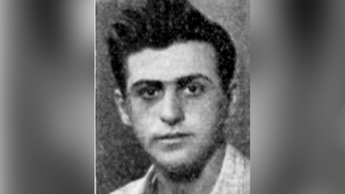 טוראי דב (דובה) פרמט