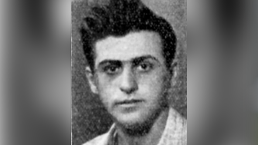 טוראי דב (דובה) פרמט