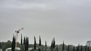 שמי גוש דן, הבוקר