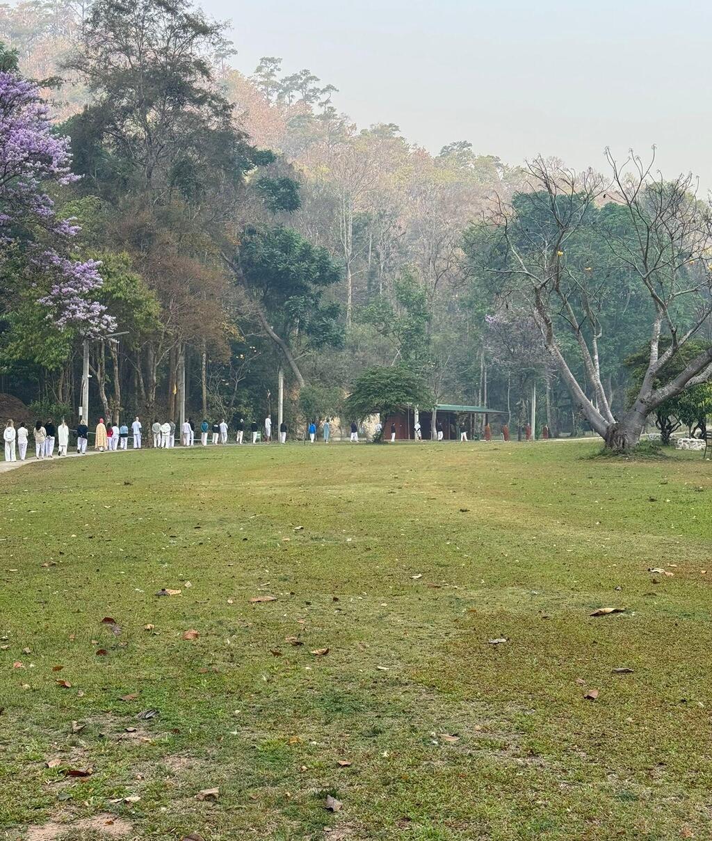 הליכה ביער ליד המנזר