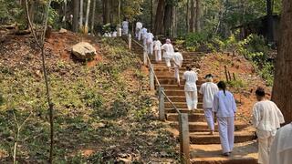 הולכים בשורה בטבע - ושותקים