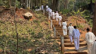 הולכים בשורה בטבע - ושותקים