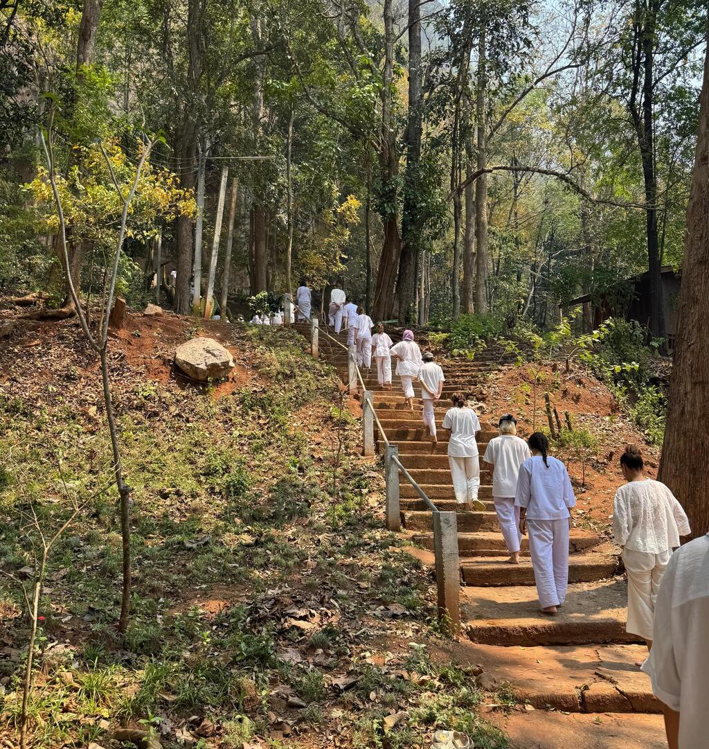 הולכים בשורה בטבע - ושותקים