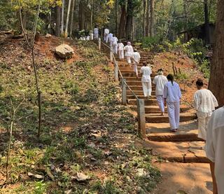 הולכים בשורה בטבע - ושותקים