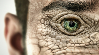 ההיסטוריה הקצרה של תיאוריות הקונספירציה