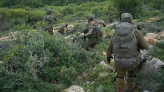 פעילות כוחות חטיבה 226