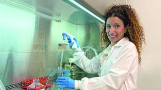 פרופ' כרמית לוי 