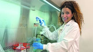 פרופ' כרמית לוי 