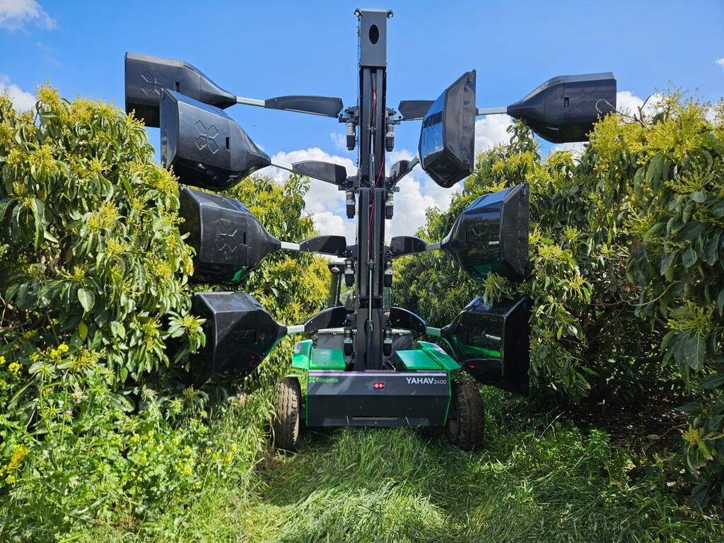 A BloomX robotic pollination system operates between rows of flowering trees at an orchard in Israel in an undated photo, as farmers work to protect yields during a narrow pollination window 