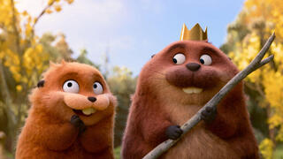 מתוך "קופצים בראש"