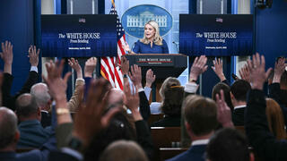 קרוליין לוויט