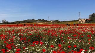 הטיולים הכי יפים אחרי הפסקת האש