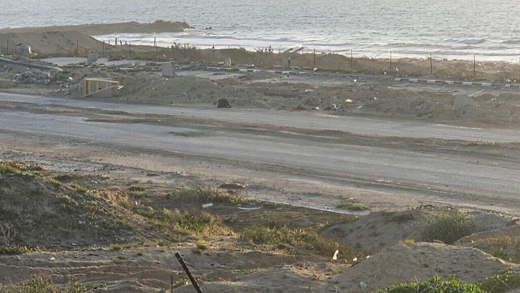 הכלב הירוי שרוע על האדמה במקום שבו התרחשה התקרית