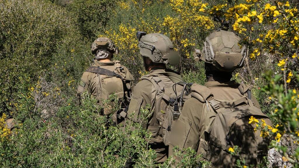 פעילות כוחות אוגדה 162 בדרום לבנון