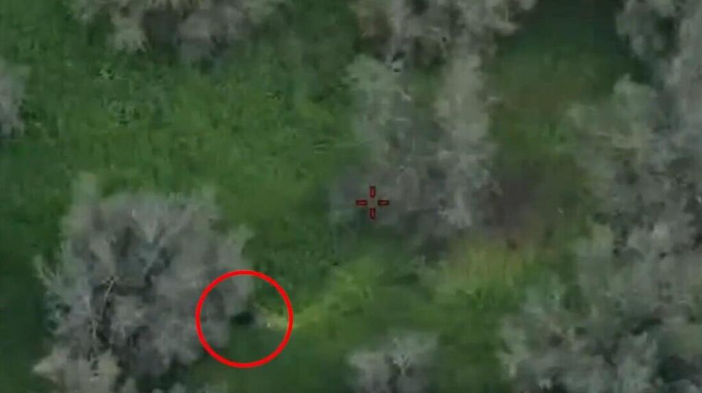 חיסול מחבל שהתחבא בשיח בלבנון