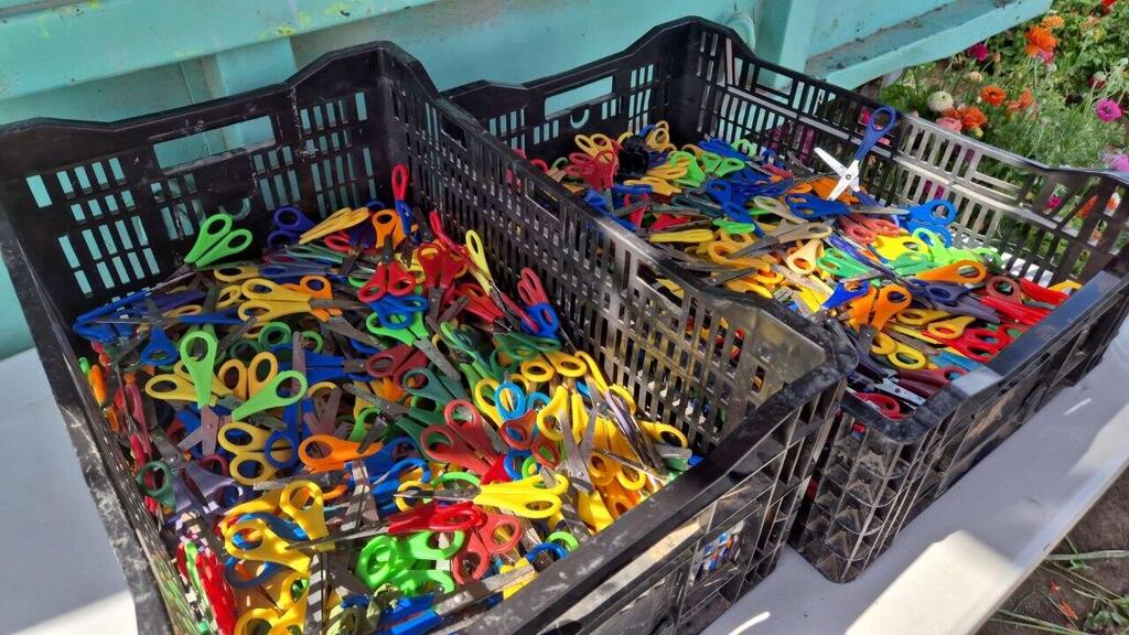 Сбор лютиков в Беэр-Товии