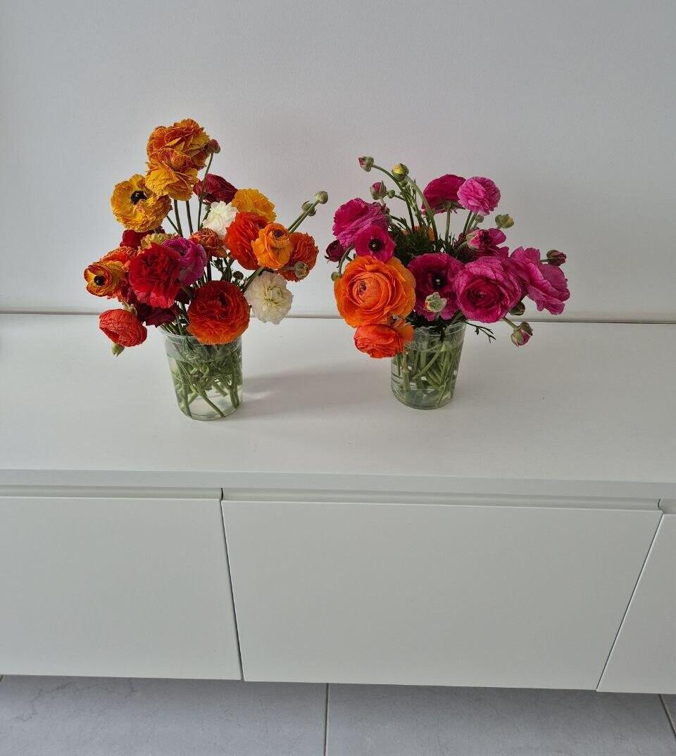 Сбор лютиков в Беэр-Товии