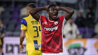 מכבי ת"א הפועל באר-שבע קינגס קאנגווה