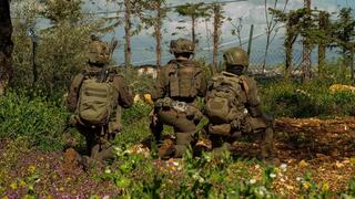 פעילות כוחות גבעתי בלבנון