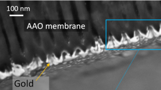 אילוסטרציה של מערכת הניסוי