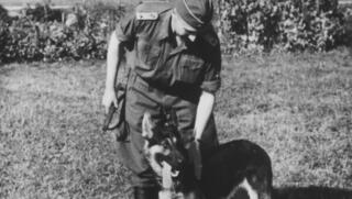 כלב שפעל בשירות הנאצים