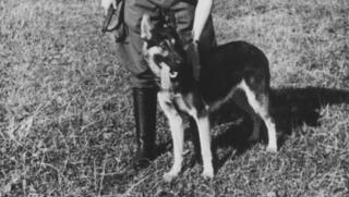 הבירוקרטיה שמאחורי הפחד: יחידות הכלבים הנאציות