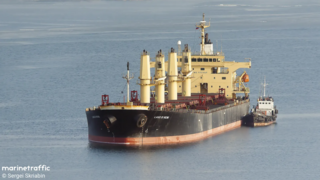 אוניית המטען הרוסית ABINSK שדווח כי עגנה בחיפה עם חיטה אוקראינית