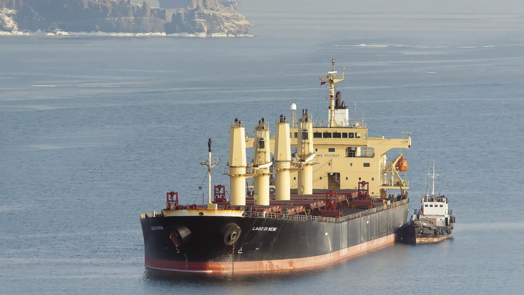 אוניית המטען הרוסית ABINSK שדווח כי עגנה בחיפה עם חיטה אוקראינית