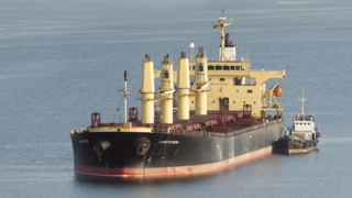 "מהצי הרוסי - לחיפה": הטענות של אוקראינה, והאיום