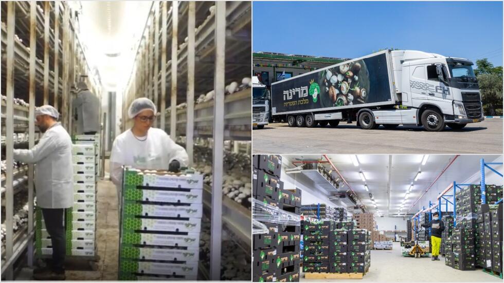 Ферма по выращиванию грибов, грузовик "Марина-питрийот" и центр логистики (Фото предоставлены "Марина-питрийот") Ферма по выращиванию грибов, грузовик "Марина-питрийот" и центр логистики