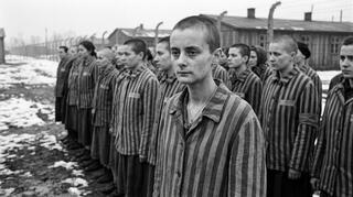 ה-AI יקבע אם באמת הייתה שואה?