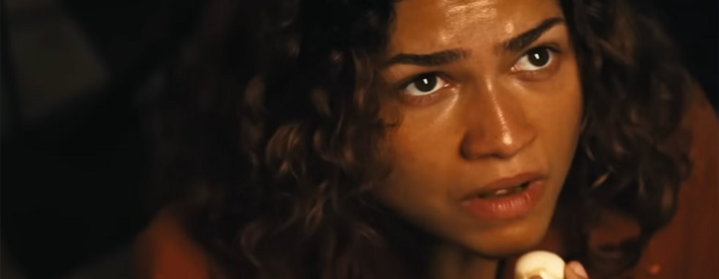Euphoria received seven nominations for its final season (Photo: Courtesy of HBO MAX) אופוריה עונה 3