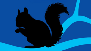 מיוחד למנויי ידיעות+: רומן קומי בהמשכים