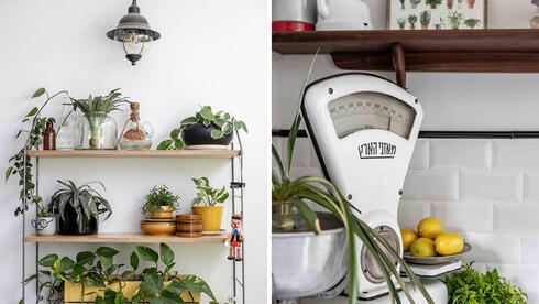 הבית של אתי לב-כץ