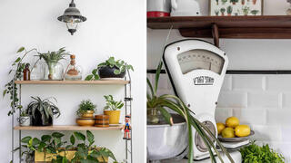 הצצה: המעצבת שתכננה את ביתה סביב אוסף הווינטג'